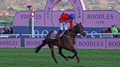 A Plus Tard, Cheltenham Festival